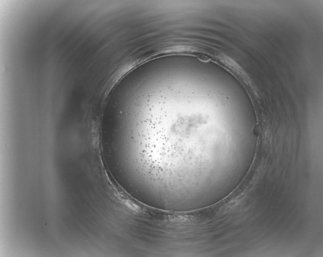 X0000054430945200508051829