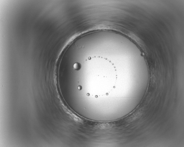 X0000054430950200508051829