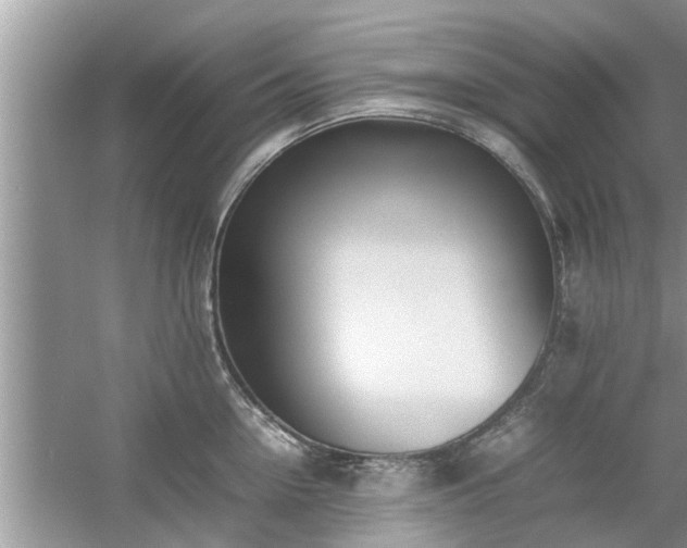 X0000054430954200508051829