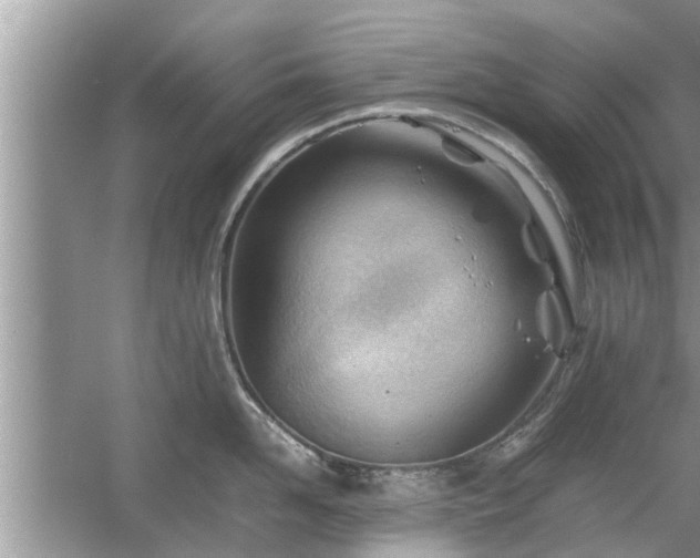 X0000054430958200508051829