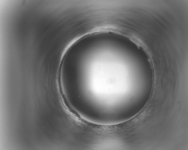 X0000054430960200508051829