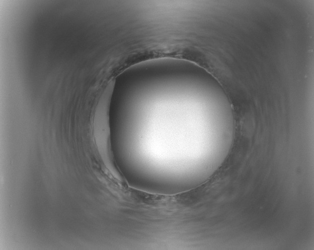 X0000054430961200508051828