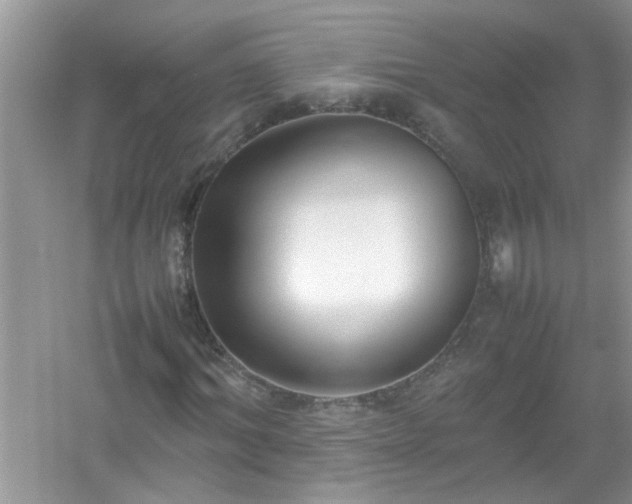 X0000054430964200508051828