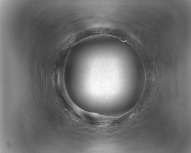 X0000054430965200508051828