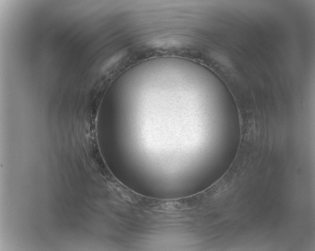 X0000054430966200508051828