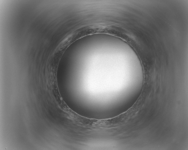 X0000054430967200508051828