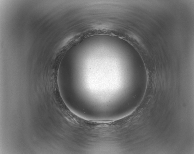 X0000054430968200508051828