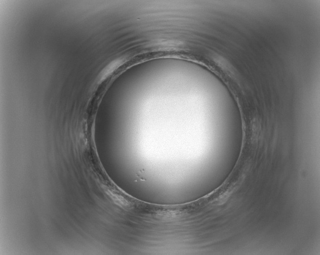 X0000054430970200508051828