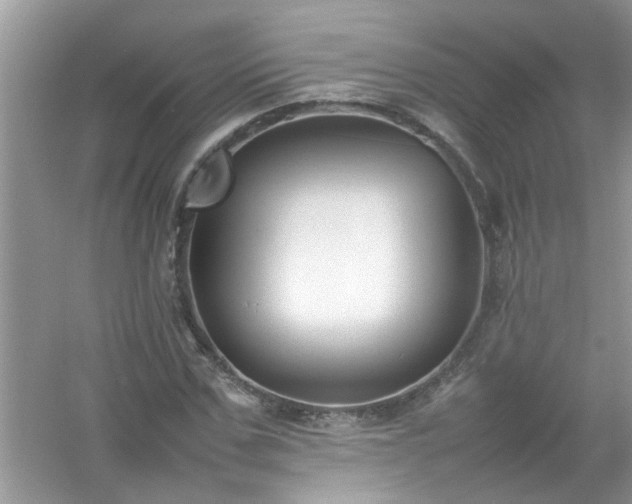 X0000054430971200508051828