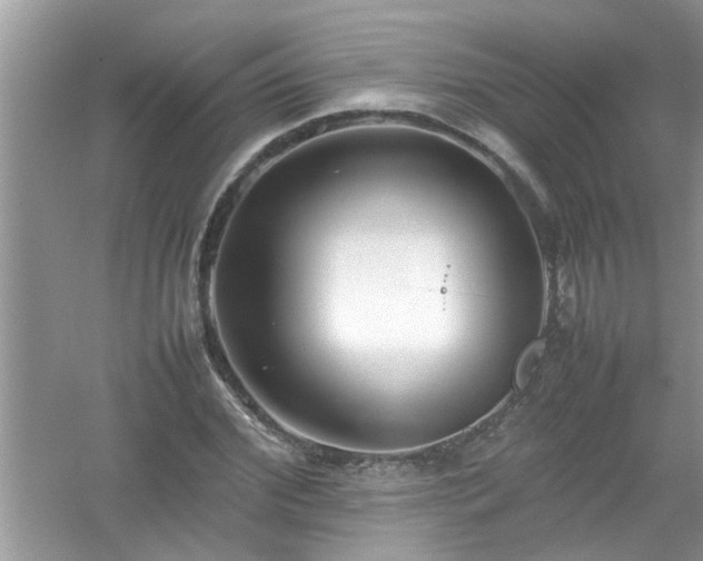 X0000054430972200508051828