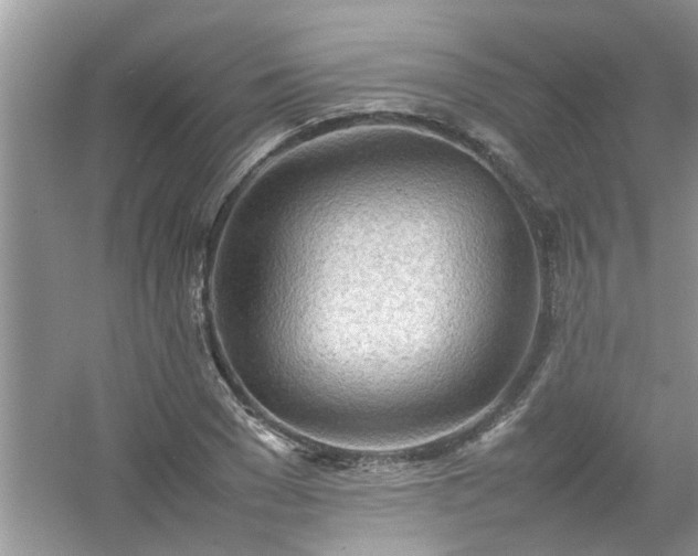 X0000054430977200508051828