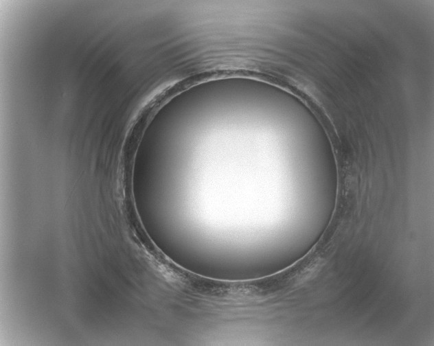 X0000054430979200508051828