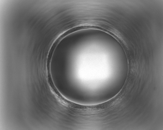 X0000054430980200508051828