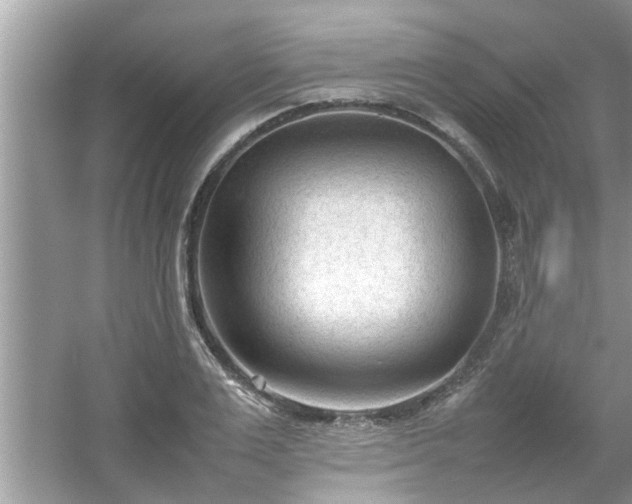 X0000054430983200508051828