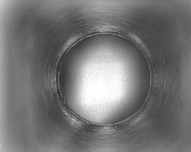 X0000054430986200508051828