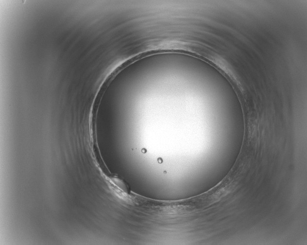 X0000054430988200508051828