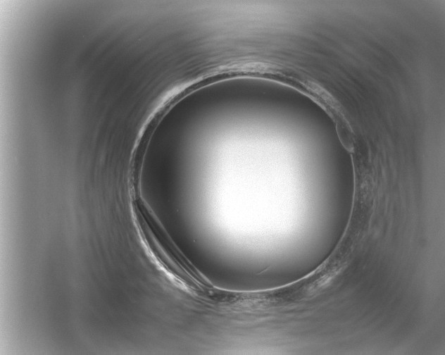 X0000054430989200508051828