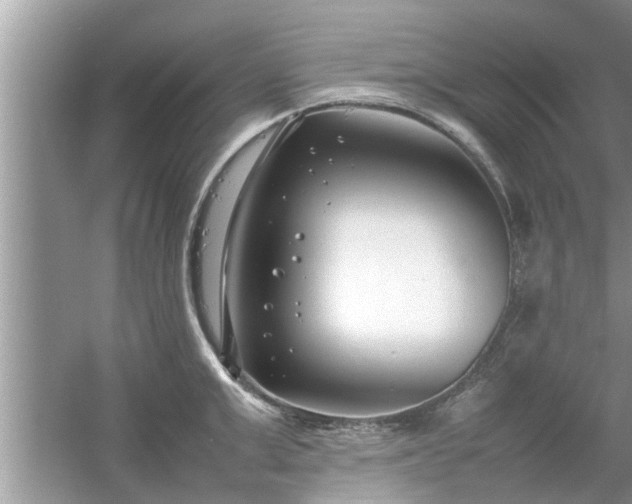 X0000054430999200508051828