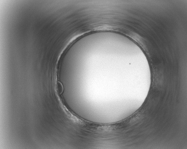 X0000054431000200508051828