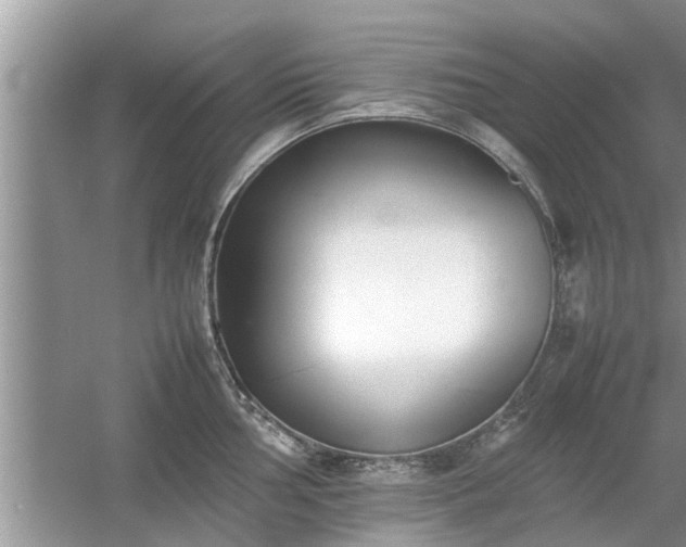 X0000054431002200508051828