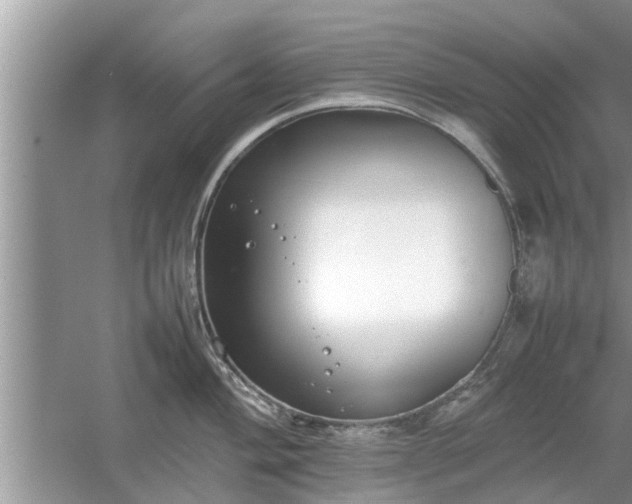 X0000054431004200508051828