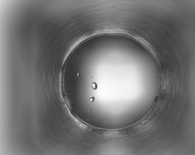 X0000054431006200508051828