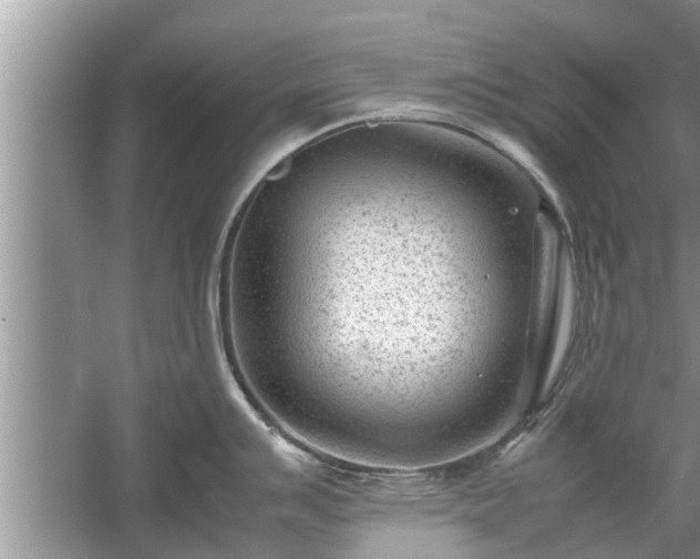 X0000054431007200508051828