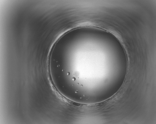 X0000054431008200508051828