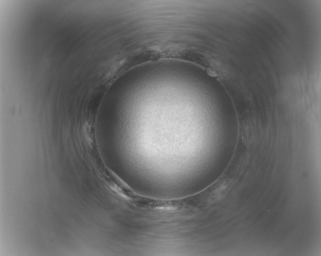 X0000054431010200508051827