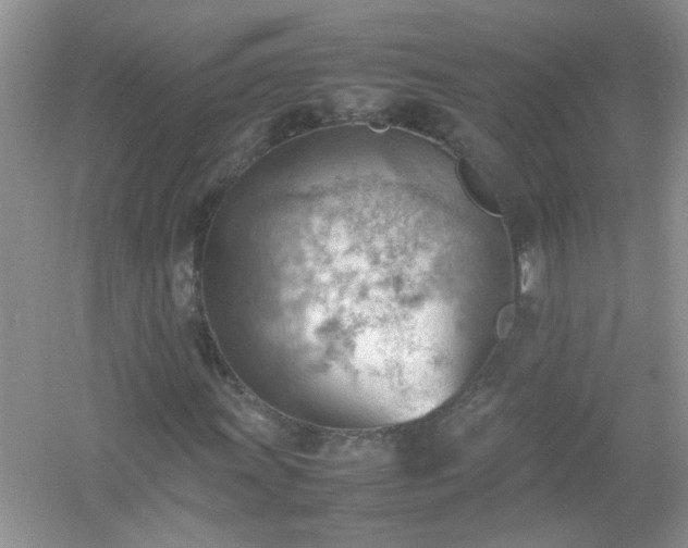 X0000054431011200508051827