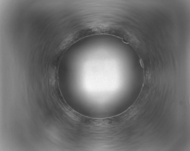 X0000054431012200508051827