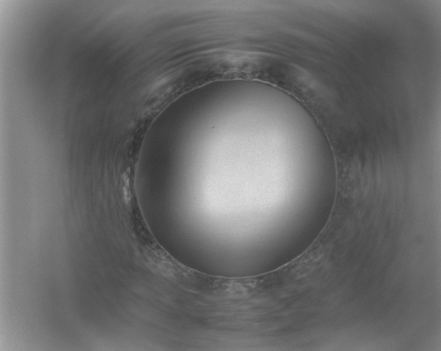 X0000054431013200508051827