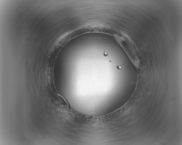 X0000054431016200508051827