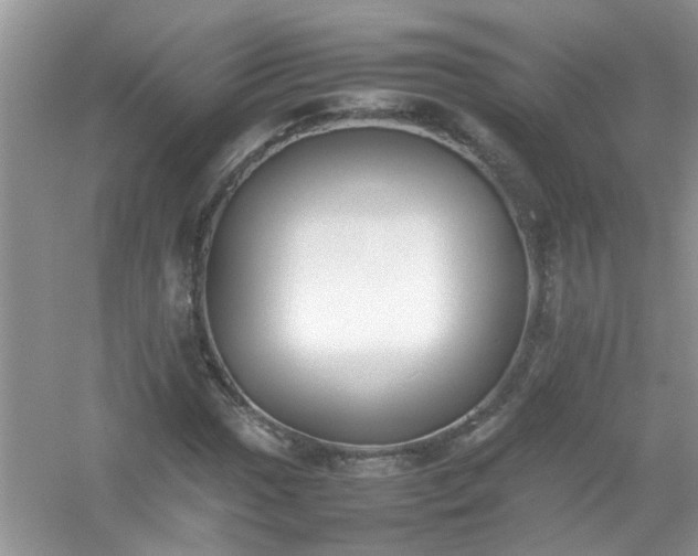 X0000054431017200508051827