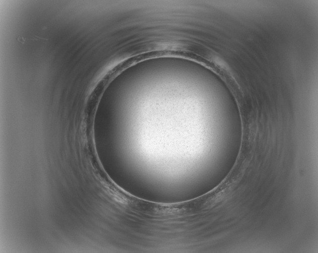 X0000054431019200508051827