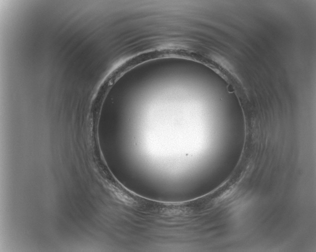 X0000054431021200508051827