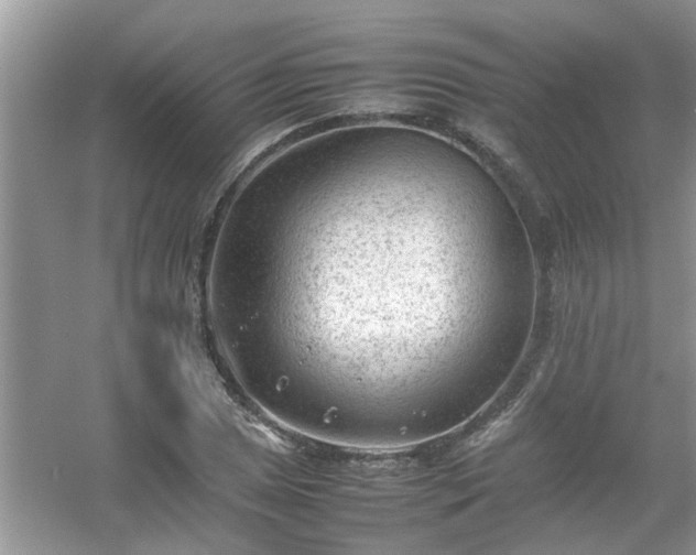 X0000054431025200508051827