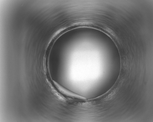 X0000054431030200508051827