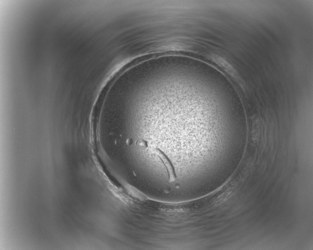 X0000054431031200508051827