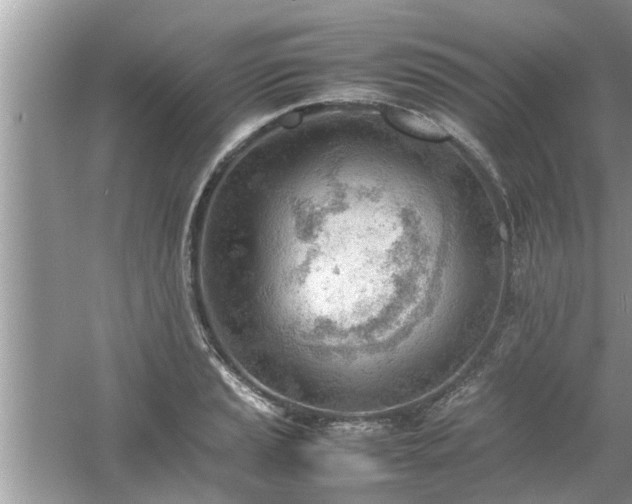 X0000054431037200508051827