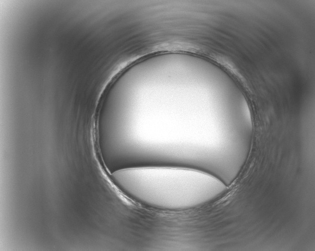 X0000054431040200508051827