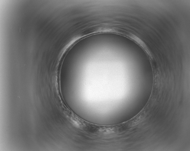 X0000054431051200508051827