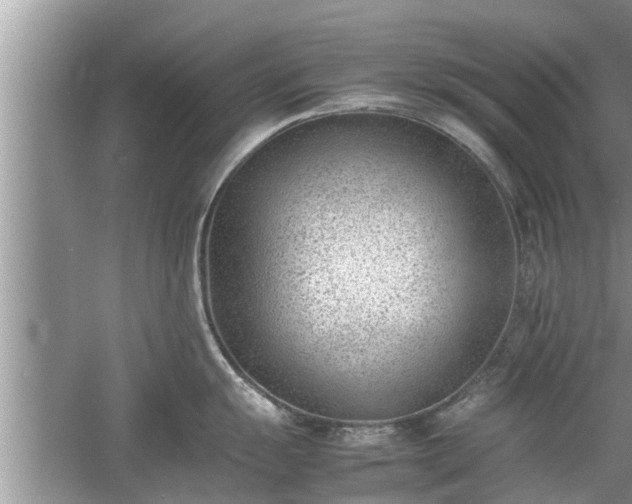 X0000054431055200508051828