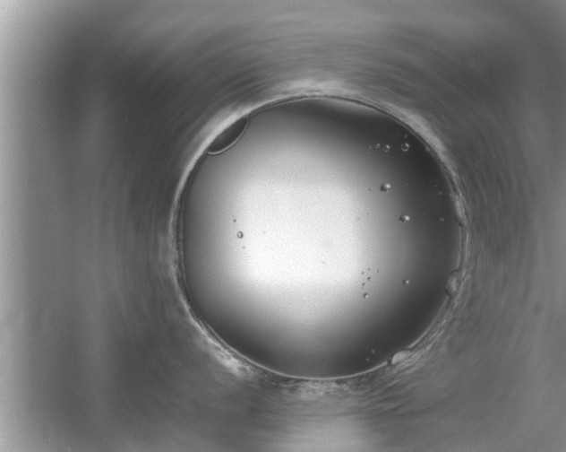 X0000054431056200508051828