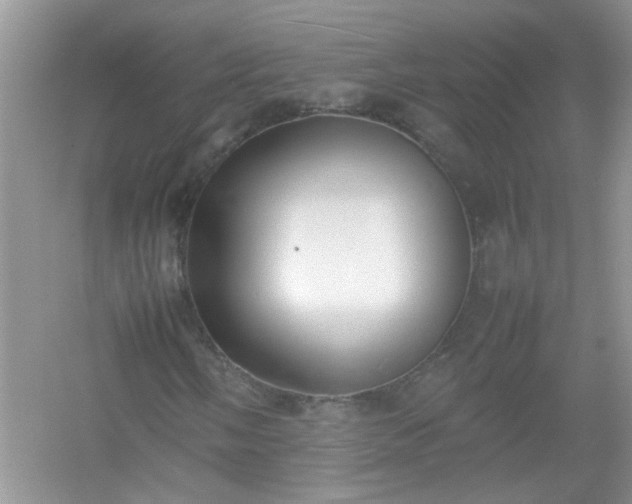 X0000054431058200508051827