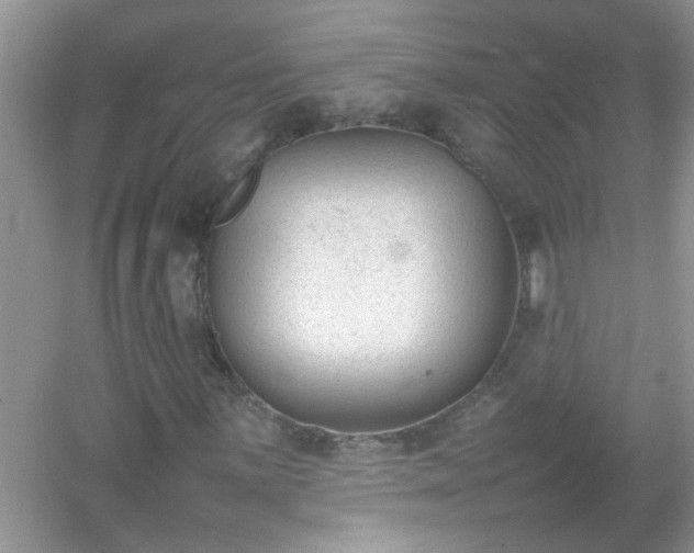 X0000054431059200508051827