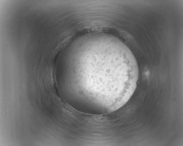 X0000054431060200508051827