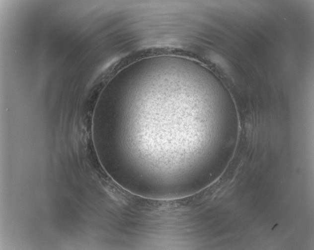 X0000054431064200508051827