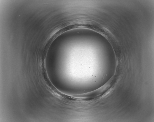 X0000054431065200508051827