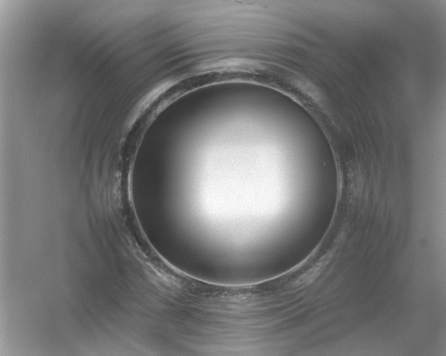 X0000054431066200508051827